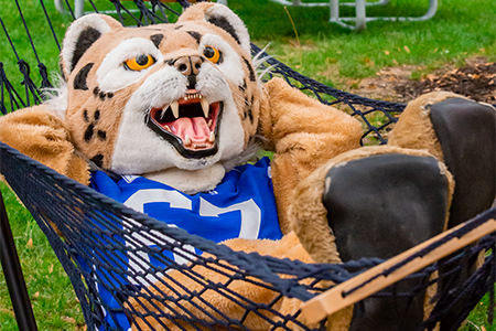 Bobcat mascot in a hammock