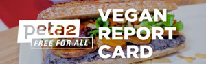 Vegan Report Card graphic with veggie sandwich