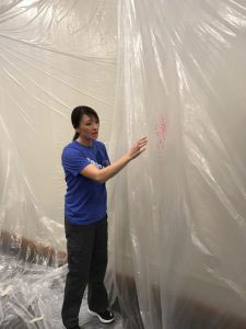 Woman examining blood spatter on plastic hanging drop cloth.