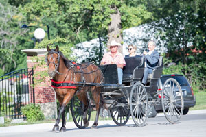 Dan and Elaine Hanson arrive by horse-drawn carriage to deliver a proclamation from Governor Ricketts.