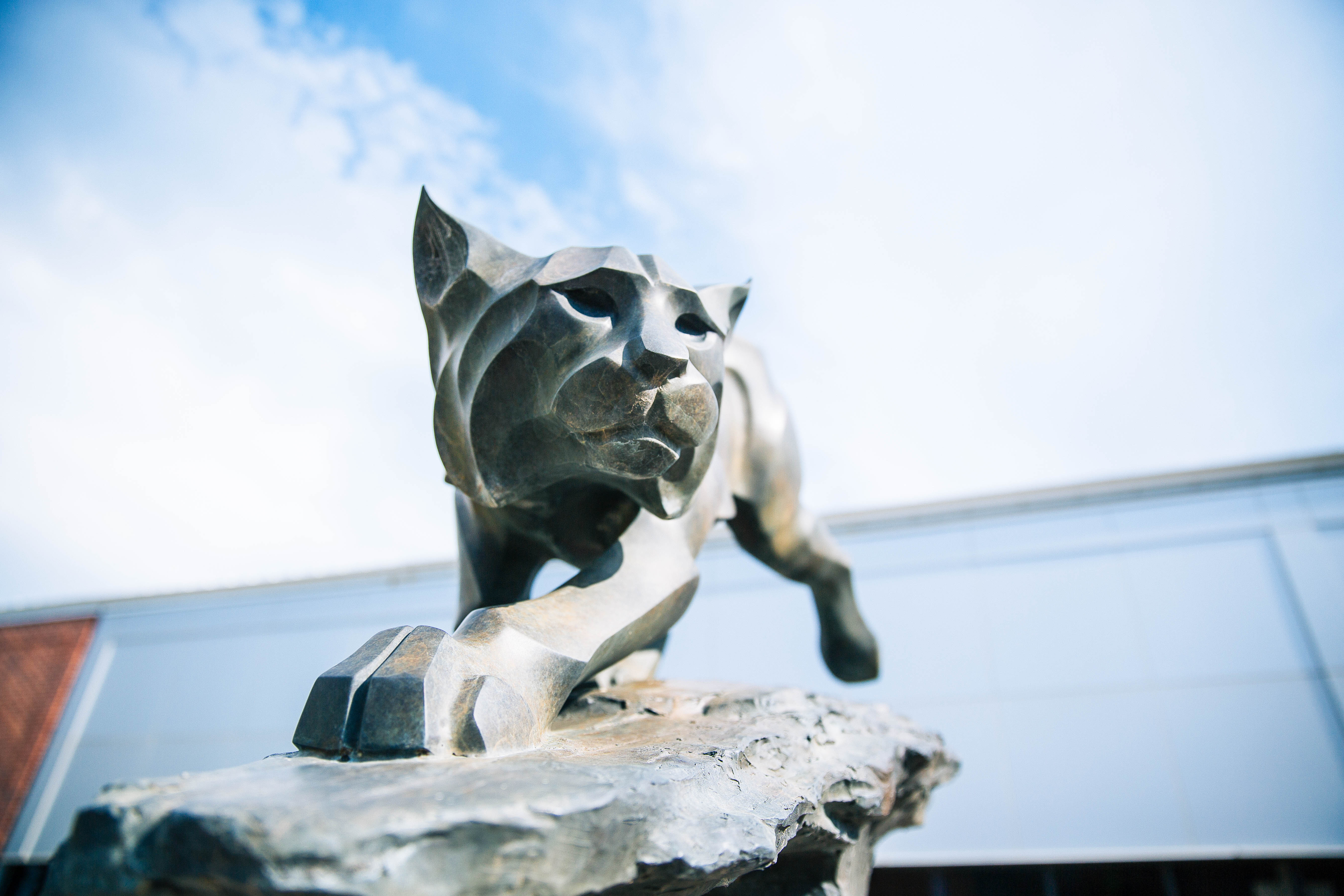 This is another of our bobcat statues, located near the Al Wheeler Activity Center.
